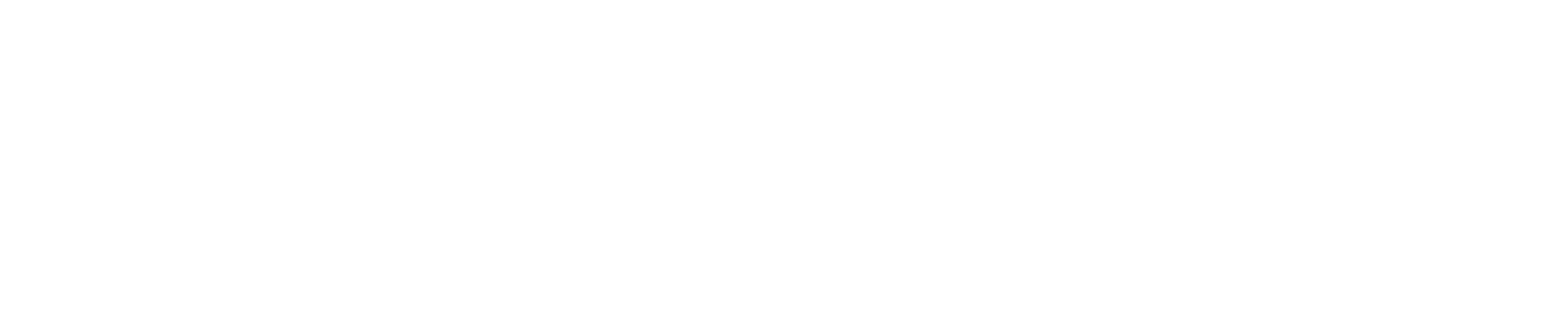 Executive Jet Management