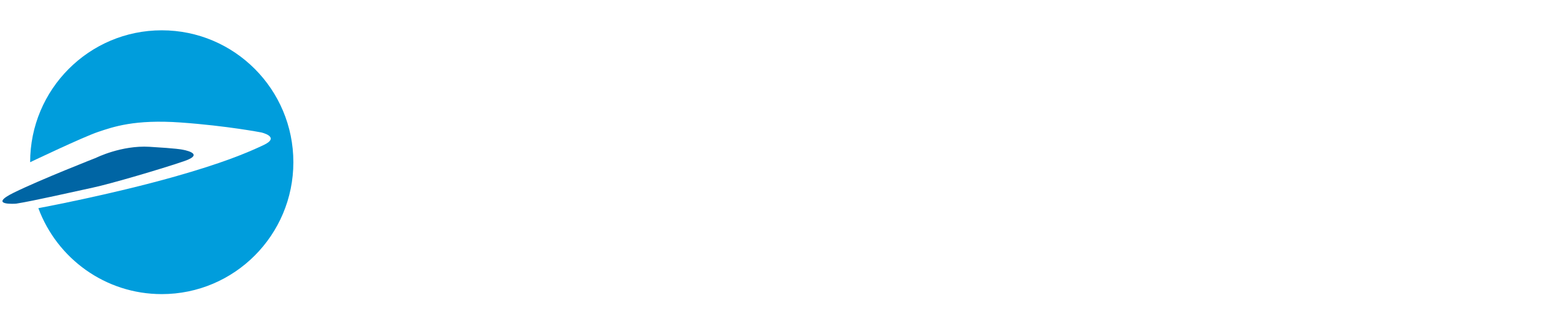 PlaneSense